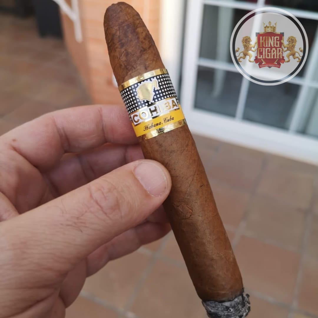 chi tiet dieu Cohiba Piramides Extra