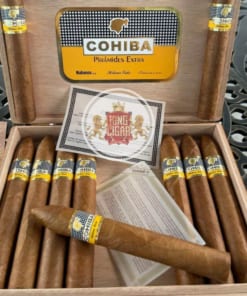 chi tiet hop Cohiba Piramides Extra 10 dieu chinh hang