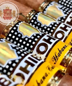 tem dieu xi ga Cohiba Exquisitos chinh hang