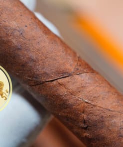chi tiet dieu xi ga Cohiba Talisman 2017 chinh hang