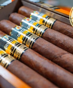 xi ga Cohiba Talisman 2017 chinh hang