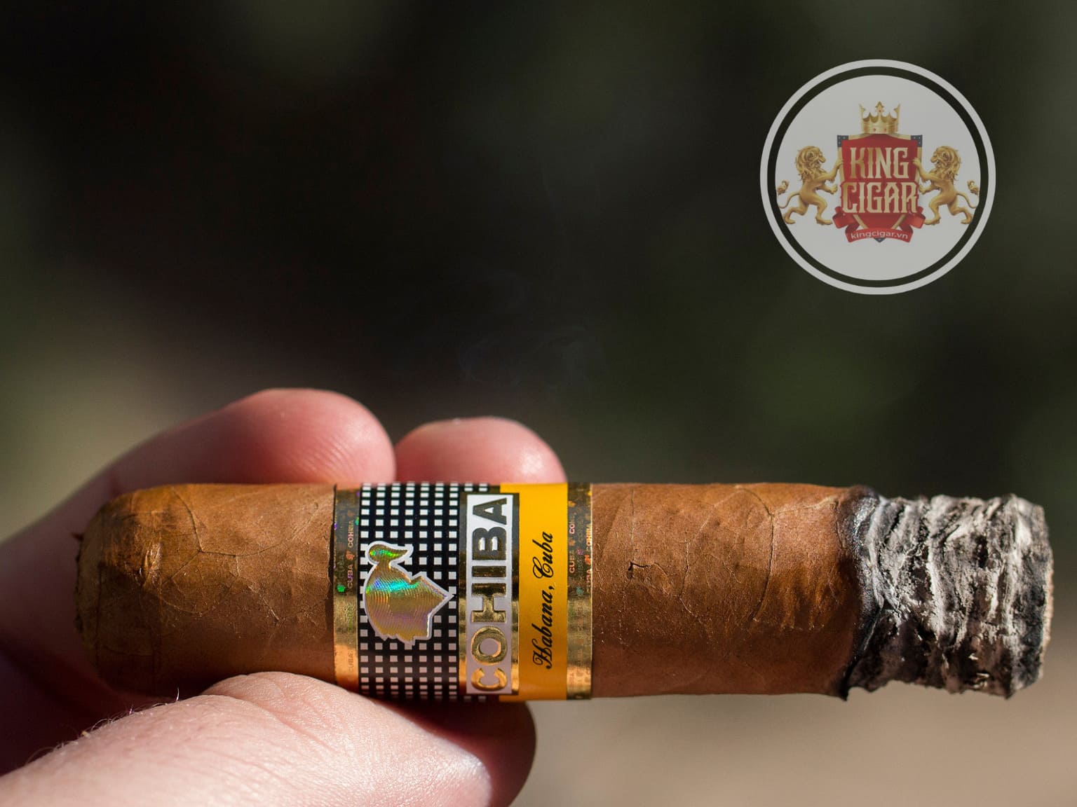 dieu xi ga Cohiba Medio Siglo chinh hang