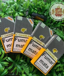 hop hop xi ga Cohiba Siglo 6 3 dieu tubos chinh hang