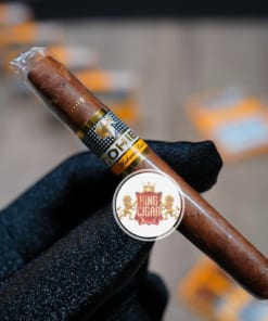 Chi tiet dieu Cohiba wide short