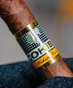 Tem dieu Cohiba wide short