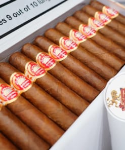 chi tiet hop xi ga hupmann Half Corona chinh hang